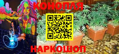 каннабис Кингисепп